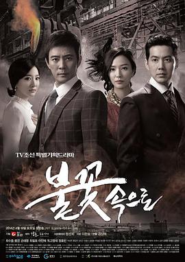 seo优化内容包括哪些